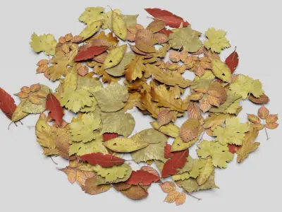 Ground Leaves Pack Low-poly 3D model