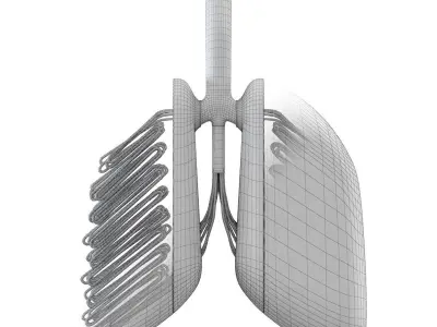 Sci-Fi Artificial Lungs Low-poly 3D model