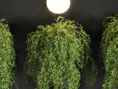 Hanging plant with lights 3D model