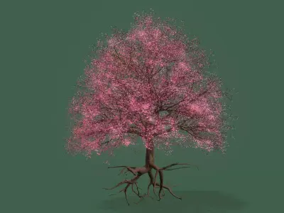 Cherry Tree  3D model