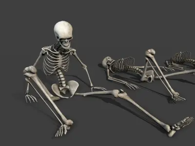 Dungeon Skeletons and Bones  Low-poly 3D model