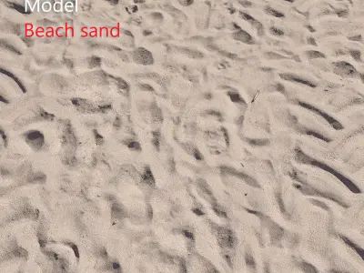 Beach sand Scan 3D model