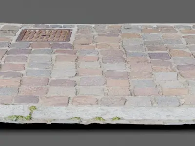 Street cobblestone granite sidewalk raw scan 3D model