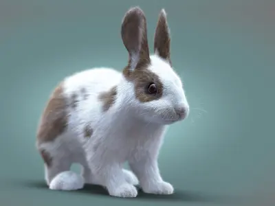  Rabbit Spotted RIG XGEN 