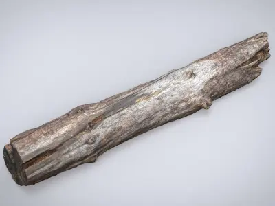 DEAD TREE TRUNK Low-poly 3D model