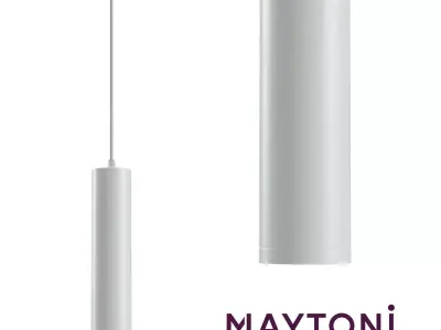 Pendant Lamp Shelby P020PL-01S Maytoni Technical Free 3D model