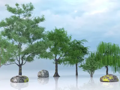 Realistic PBR Tree Rock Pack 3D model