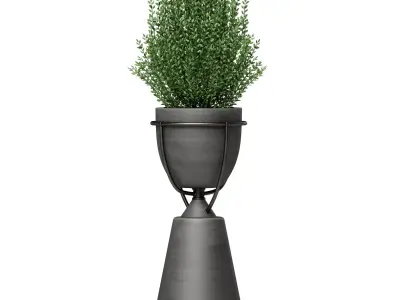 Floor vase with plant Kashpo 3D model