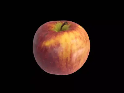New Zealand Red Apple 3D model