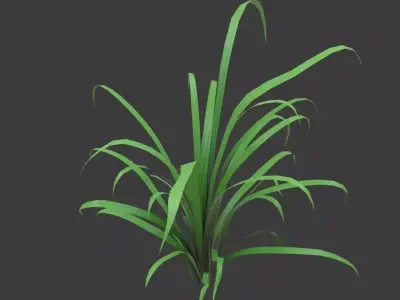 Cartoon grass 3D model