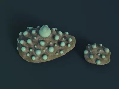 Fantasy Spider Eggs Low-poly 3D model