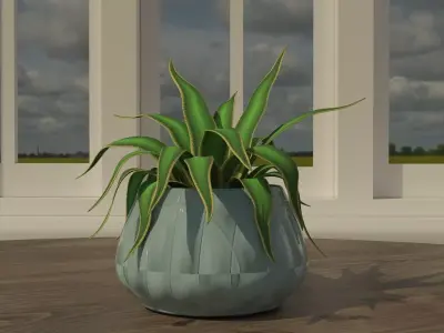 Green plant in a blue pot  3D model