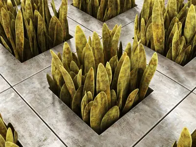 Eco-parking concrete floor with grasses 3D model