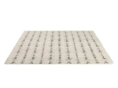  ANUSHA WOOL RUG b 3D model
