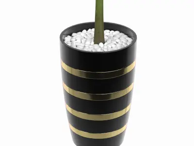 Green Palm decorative plant 1 3D model