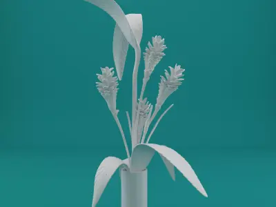 Ginger Plant Model for 3D Printing 3D print model