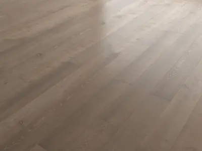 Wood Floor Set 41 Texture
