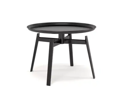 Husk Table 3D model
