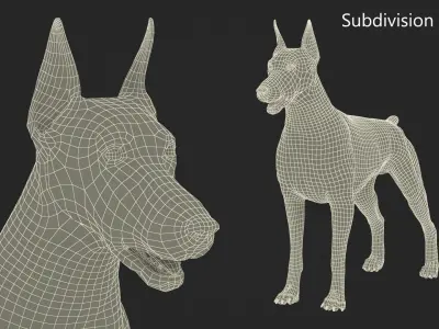  Brown Doberman Pinscher Fur for Maya Rigged 