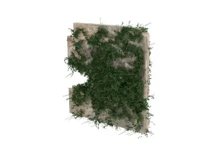 Moss Wall 3D model