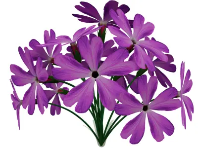 Violet Flower Low-poly 3D model