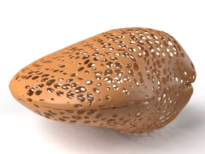 Clam Voronoi Low-poly 3D model