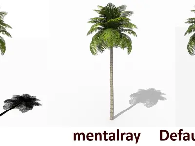 Palm Tree Low Poly Low-poly 3D model