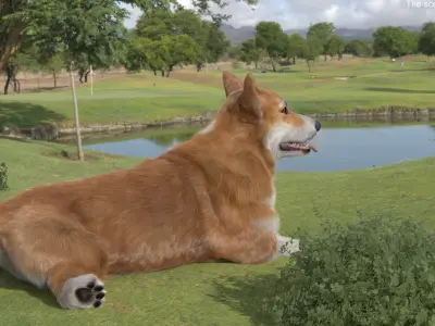  Pembroke Welsh Corgi Dog Lying Pose Fur for Cinema 4D 