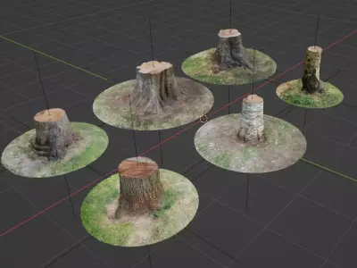 Tree Stumps 6 Photoscanned Low-Poly Low-poly 3D model