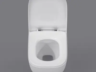 Toilet 3D model