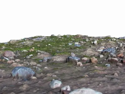 Mossy Ground Low-poly 3D model