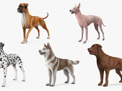  Large Dogs Rigged Collection 3 