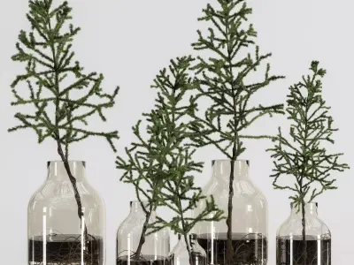 Collaction Plants Bouquet 20 pine  3D model