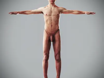  Human Male Complete Anatomy 