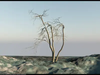 Dry Elements - Plants and terrains - 3D model 3D model