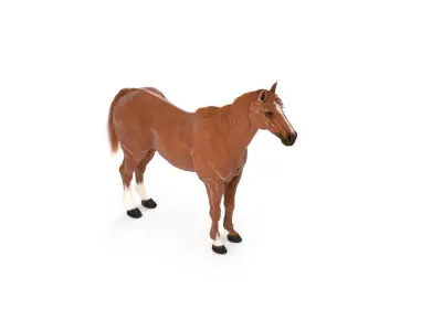  Horse Textured w Fur 