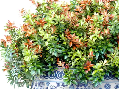 Decorative flowering garden plant Bouquet in a vase pot Jar  3D model