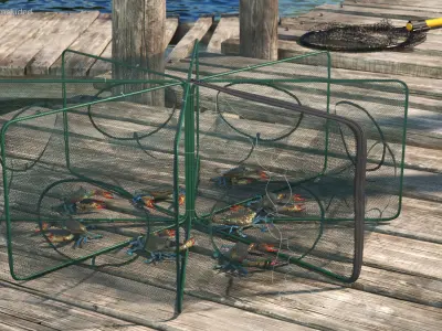  Collapsible Fishing Net Cage with Crawfish Inside 