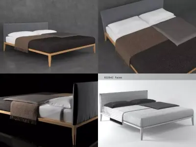 Life Bed 3D model