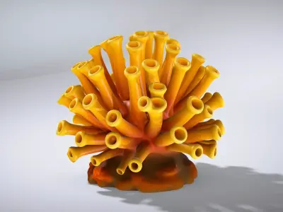 Golden Yellow Tubastraea Coral Model Low-poly 3D model