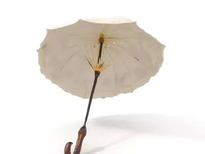 Victorian Parasol Umbrella Model Pack Low-poly 3D model