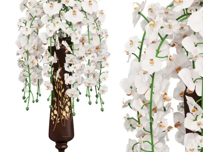 Orchid bouquet for interior 3D model