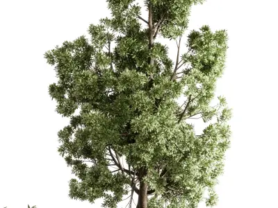 Urban Environment - Urban Furniture Bench with Plants Set 64 3D model