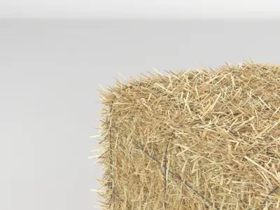 Hay Bale 3D model