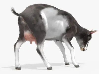  Animated Fur Livestock Rigged for Blender Collection 