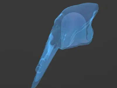 STAR WARS QUARREN HEAD FOR BLACK SERIES 3D print model