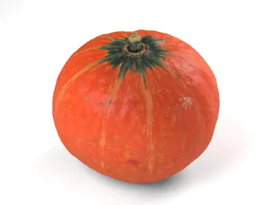 Orange Pumpkin - Photorealistic  Scan Low-poly 3D model