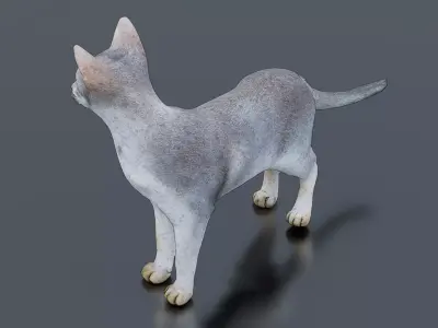 Slender Cat Low-poly 3D model