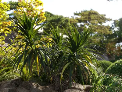  Bundle 06 - Japanese garden 