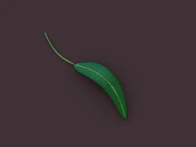 Cartoon Eucalyptus Leaf 3D Model Low-poly 3D model